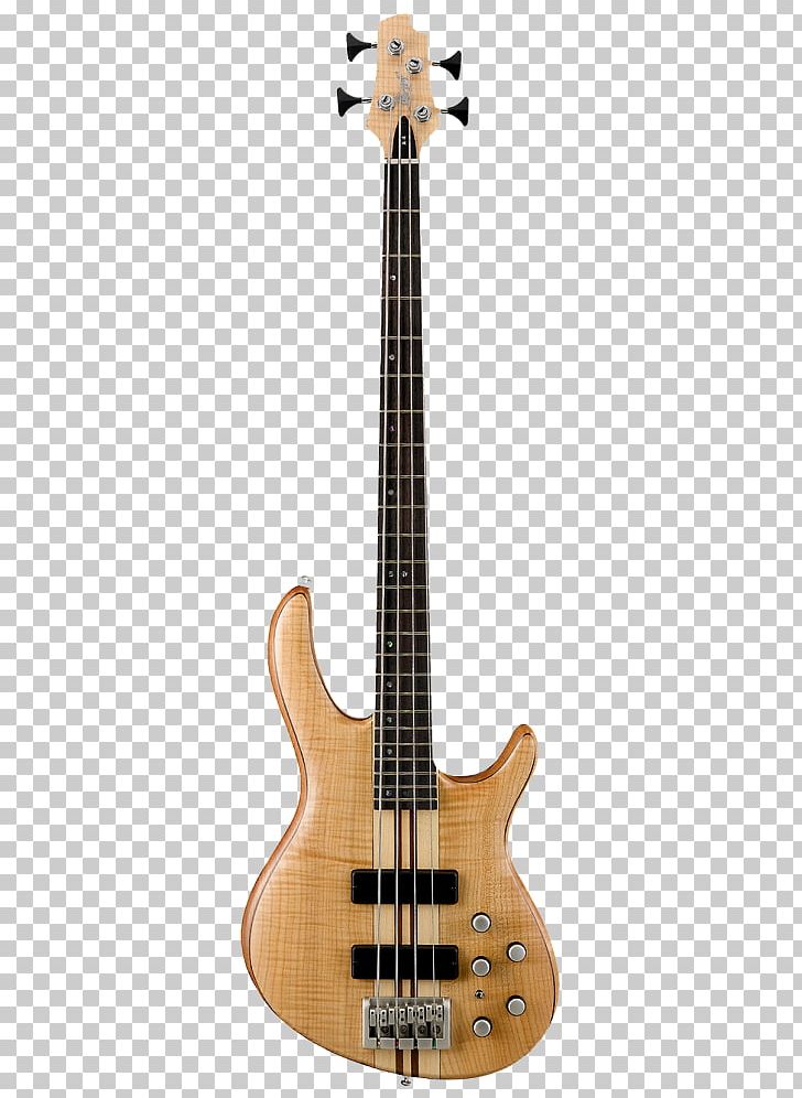 Bass Guitar Cort Guitars Double Bass PNG, Clipart, Cuatro, Double Bass, Guitar, Guitar Accessory, High End Free PNG Download