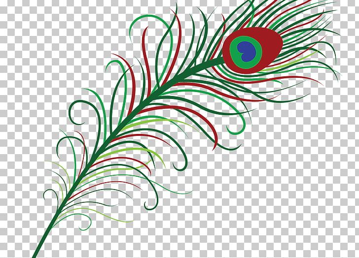 Feather Pavo Bird PNG, Clipart, Animals, Artwork, Asiatic Peafowl, Bird, Feather Free PNG Download
