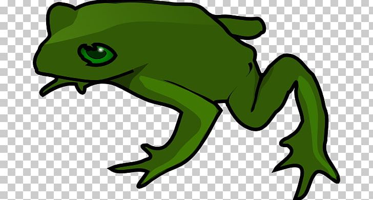Kermit The Frog PNG, Clipart, Amphibian, Animation, Artwork, Blog, Cuteness Free PNG Download