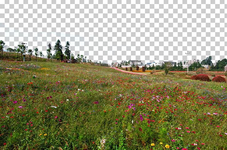 Landscape Painting Photography PNG, Clipart, Attractions, Farm, Fig, Flower, Flowers Free PNG Download