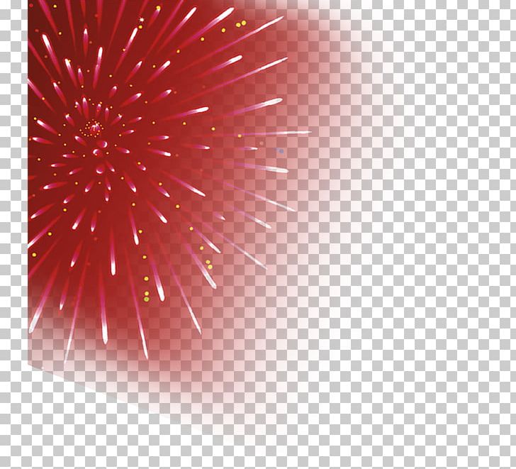 Light Petal Computer PNG, Clipart, Blooming, Blooming Fireworks, Celebrate, Computer, Computer Wallpaper Free PNG Download