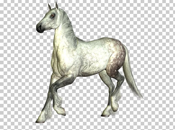 Mustang Stallion Foal Mare Colt PNG, Clipart, Animal, Animal Figure, Cabal, Colt, Fauna Free PNG Download