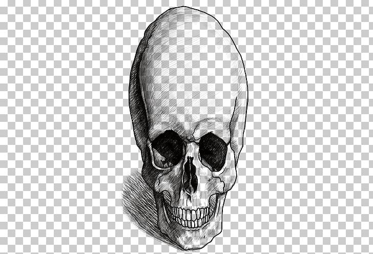 Nose Skeleton Homo Sapiens Skull Human Behavior PNG, Clipart, Behavior, Black And White, Bone, Drawing, Ear Free PNG Download