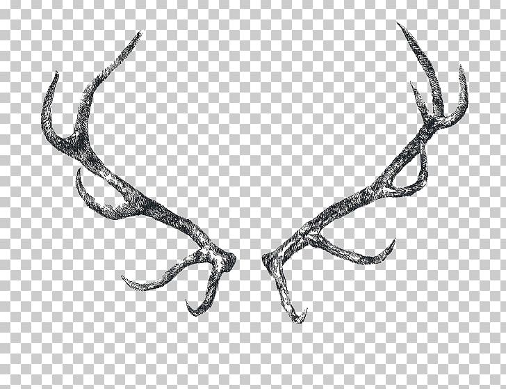 Reindeer Elk Antler Horn PNG, Clipart, Animal, Animals, Antler, Black And White, Blacktailed Deer Free PNG Download