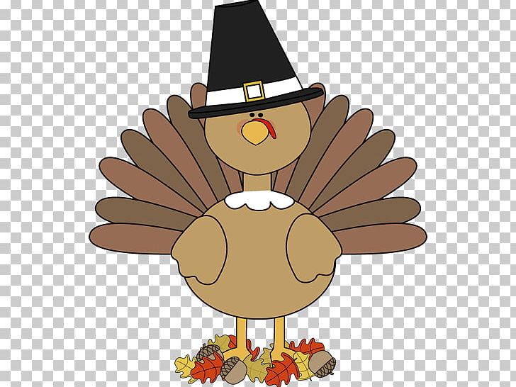 Turkey Meat Thanksgiving Day Thanksgiving Turkeys PNG, Clipart, Beak, Bird, Cartoon, Chicken, Clip Free PNG Download