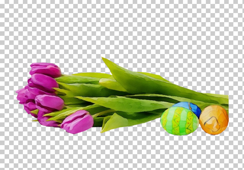 Flower Tulip Plant Violet Petal PNG, Clipart, Bud, Cut Flowers, Flower, Lily Family, Paint Free PNG Download