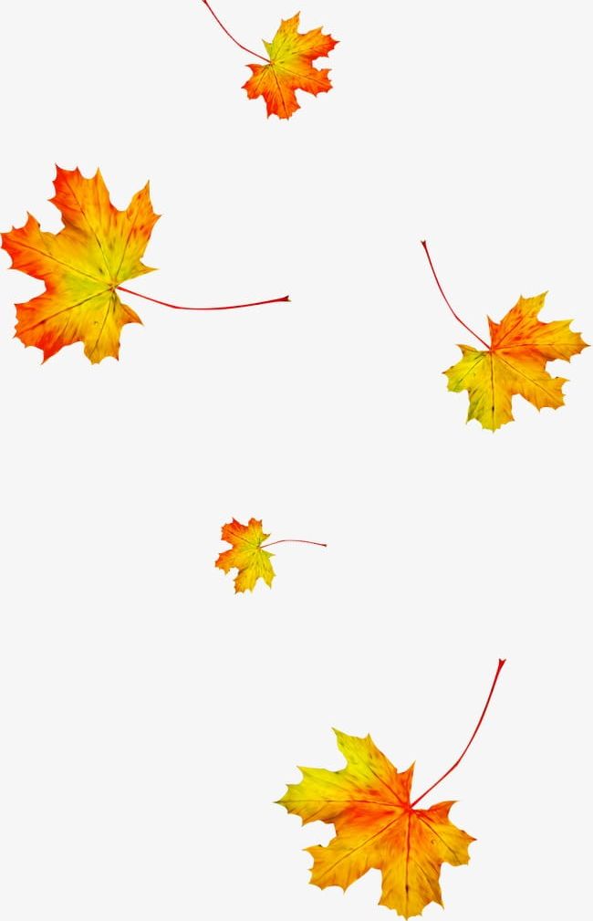Autumn Maple Leaf PNG, Clipart, Autumn, Autumn Clipart, Autumn Maple Leaf, Leaf, Leaf Clipart Free PNG Download