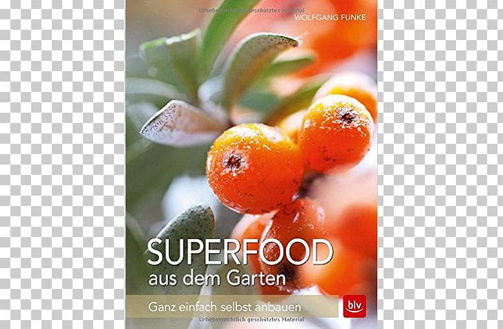 Superfood Aus Dem Garten: Ganz Einfach Selbst Anbauen Book Text Wolfgang Funke PNG, Clipart, Book, Buckthorn, Fruit, Funke, Objects Free PNG Download