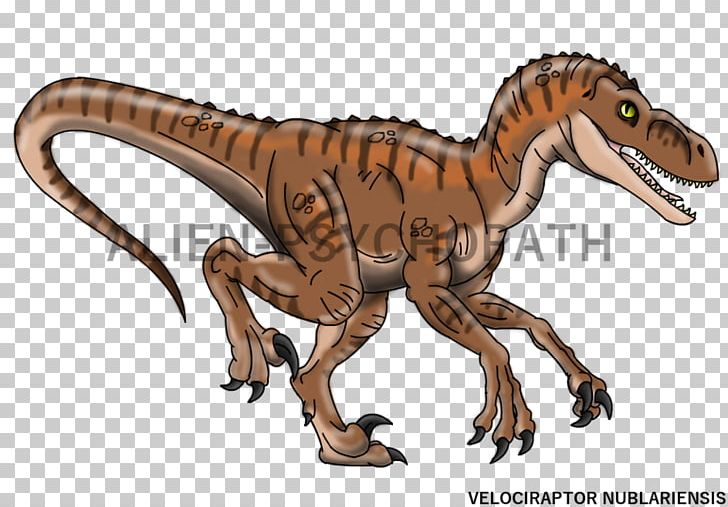Velociraptor Tyrannosaurus Simon Masrani Jurassic Park Triceratops PNG, Clipart, Animal Figure, Chris Pratt, Dinosaur, Drawing, Extinction Free PNG Download