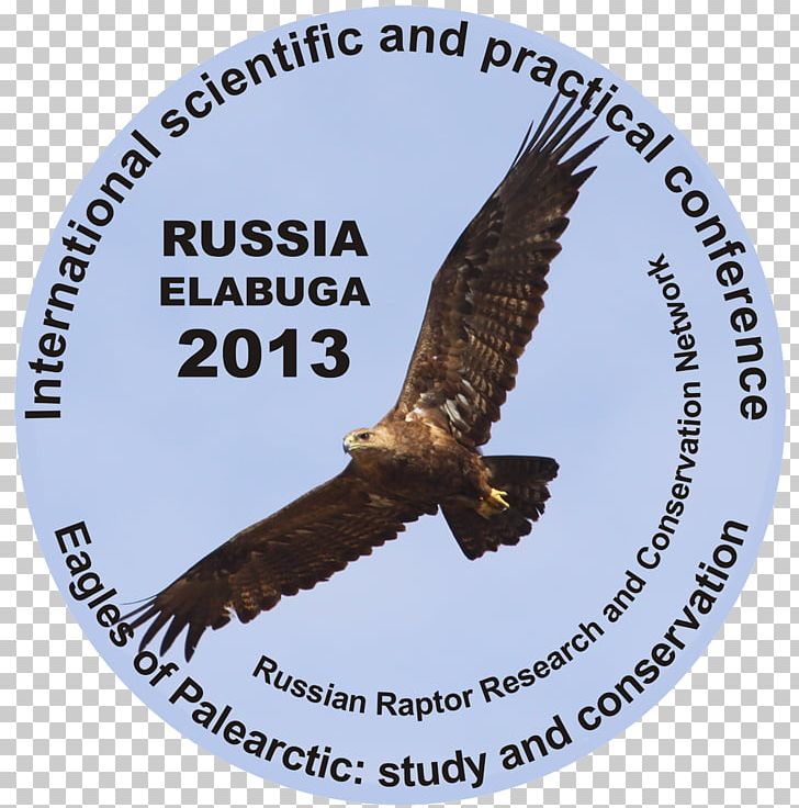 Golden Eagle Palearctic Realm Falconry Altai Krai PNG, Clipart, Accipitriformes, Altai Krai, Animals, Beak, Bird Free PNG Download