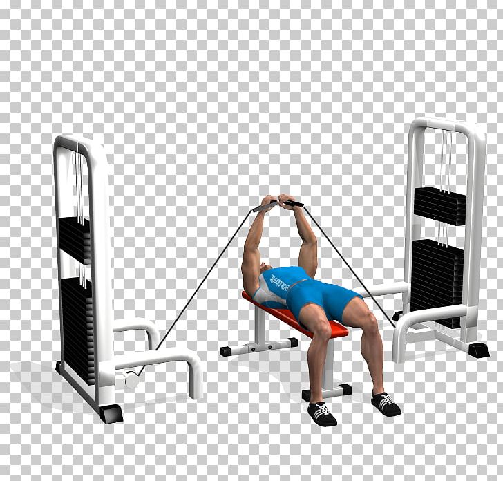 Bench Press Fly Dumbbell Fitness Centre PNG, Clipart, Apartment, Arm, Bench, Bench Press, Chest Muscle Free PNG Download
