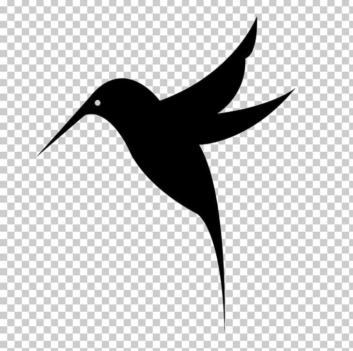 Black-chinned Hummingbird PNG, Clipart, Animals, Beak, Bird, Black And White, Blackchinned Hummingbird Free PNG Download