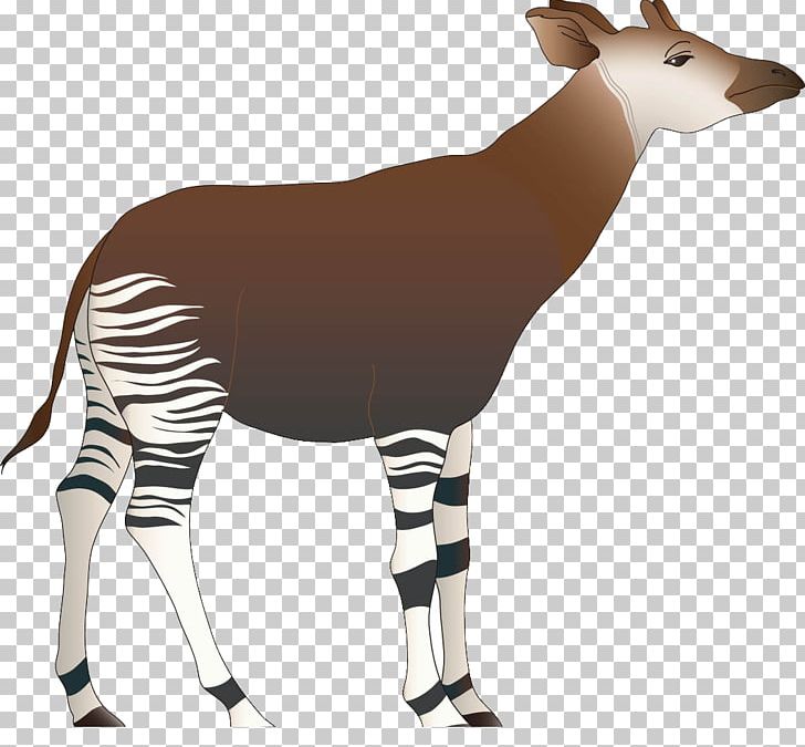 Cabrito Goat Okapi Giraffe PNG, Clipart, Animal, Animal Figure, Animals, Antelope, Cabrito Free PNG Download