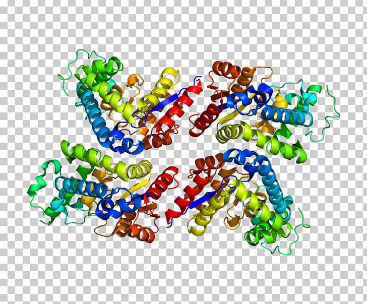 EYA2 Protein Family Genetic Code PNG, Clipart, Area, Coactivator, Gene, Genecards, Genetic Code Free PNG Download