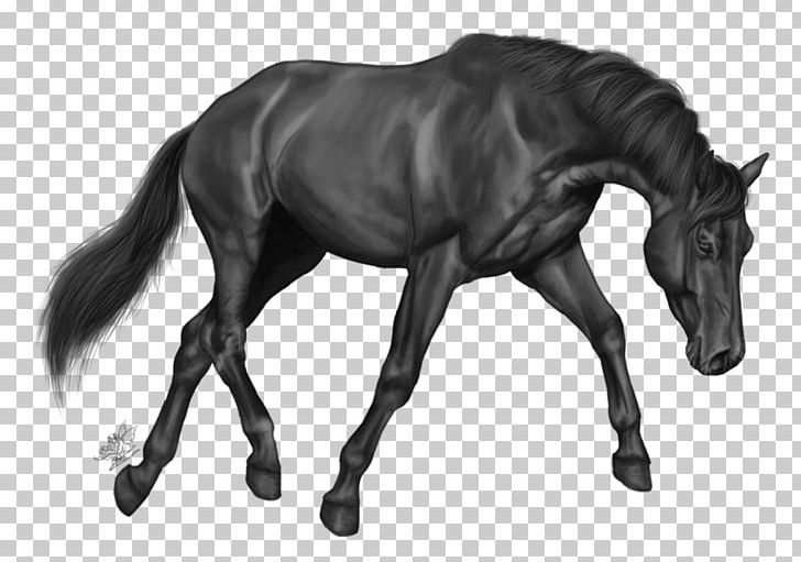 Grayscale Arabian Horse PNG, Clipart, 3d Computer Graphics, Architectural Rendering, Black And White, Bridle, Colt Free PNG Download