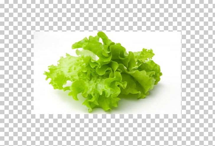 Salad Iceberg Lettuce Vegetable Herb Fruit PNG, Clipart,  Free PNG Download