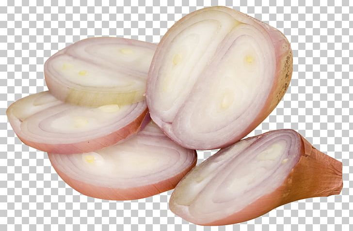 Shallot Vegetable PNG, Clipart, Bulb, Commodity, Display Resolution, Download, Image Resolution Free PNG Download
