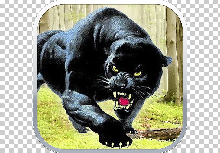 Black Panther Middle School Student PNG, Clipart, Aggression, Animal, Big Cats, Black, Carnivoran Free PNG Download