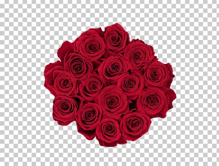 Garden Roses RE/MAX PNG, Clipart, Black, Cut Flowers, Floral Design, Floribunda, Floristry Free PNG Download
