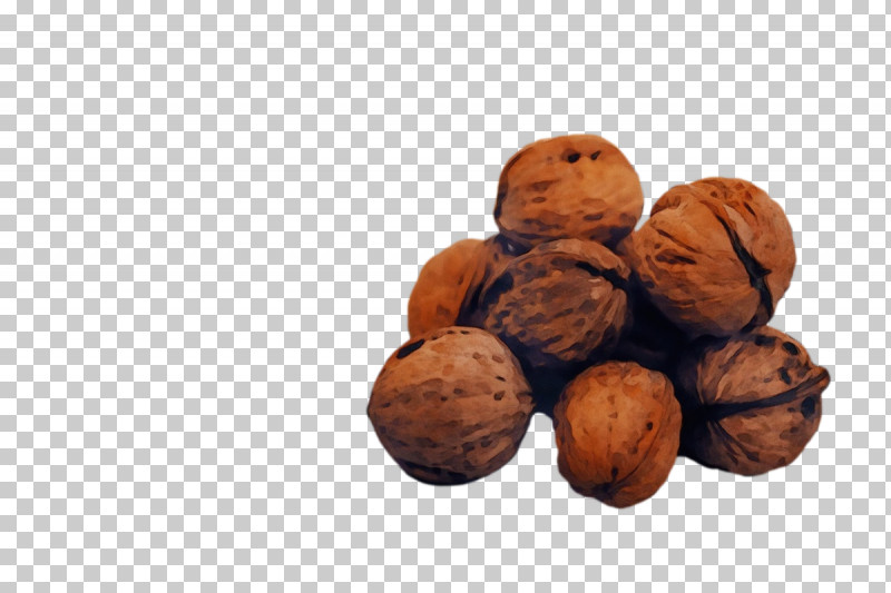 Walnut Superfood Ingredient Nut PNG, Clipart, Ingredient, Nut, Paint, Superfood, Walnut Free PNG Download