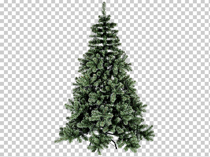 Christmas Tree PNG, Clipart, American Larch, Arizona Cypress, Balsam Fir, Canadian Fir, Christmas Free PNG Download