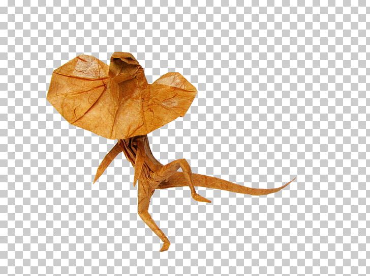 Frilled-neck Lizard Mitsubishi Mirage Paper Origami PNG, Clipart, Agamidae, Animal, Animals, Arbitrarily, At Will Free PNG Download