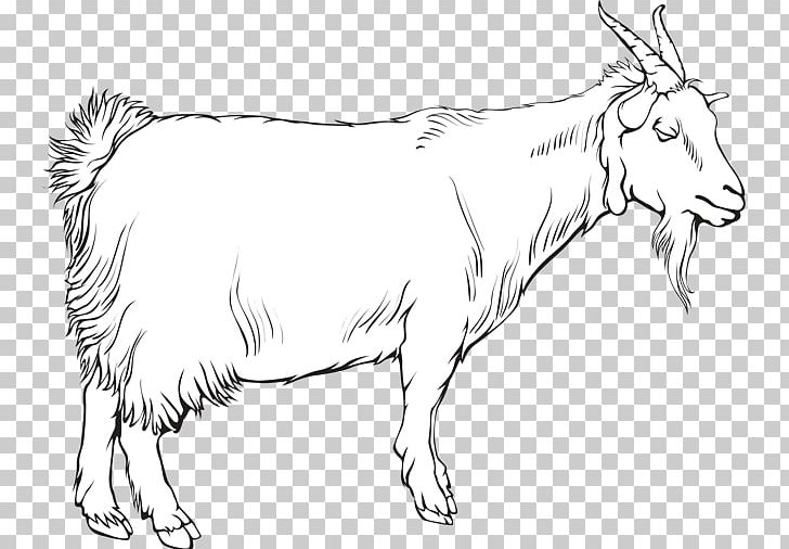 Cattle Ox Goat Sheep Line Art PNG, Clipart, Animal, Animal Figure, Animals, Artwork, Black And White Free PNG Download