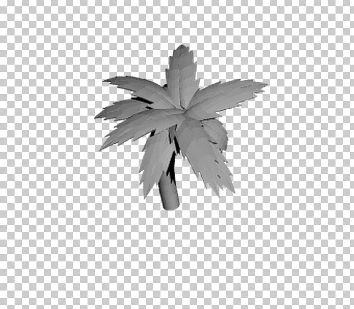 Leaf White PNG, Clipart, Black And White, Leaf, Monochrome, Monochrome Photography, Plant Free PNG Download