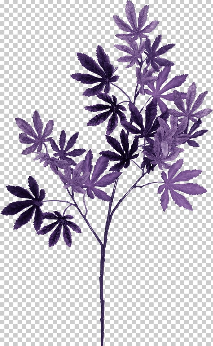purple thorny leaf clip art