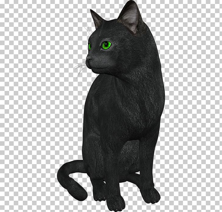Bombay Cat Russian Blue Black Cat Malayan Cat Chartreux PNG, Clipart, Animals, Asian, Black Cat, Bombay, Bombay Cat Free PNG Download