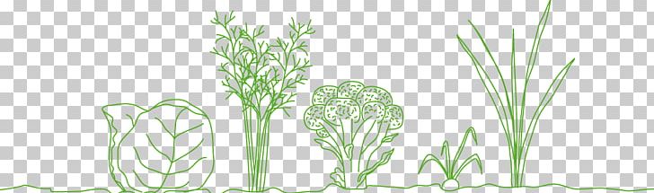 Grasses Floral Design Vase Ecosystem PNG, Clipart, Aquarium, Aquarium Decor, Branch, Commodity, Ecosystem Free PNG Download
