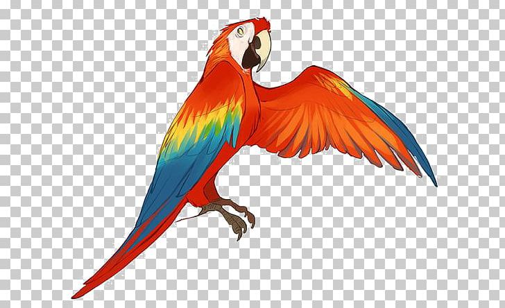 Kinectimals Parrot Macaw Drawing Illustration PNG, Clipart, Animals, Animation, Bird, Birds, Cartoon Free PNG Download