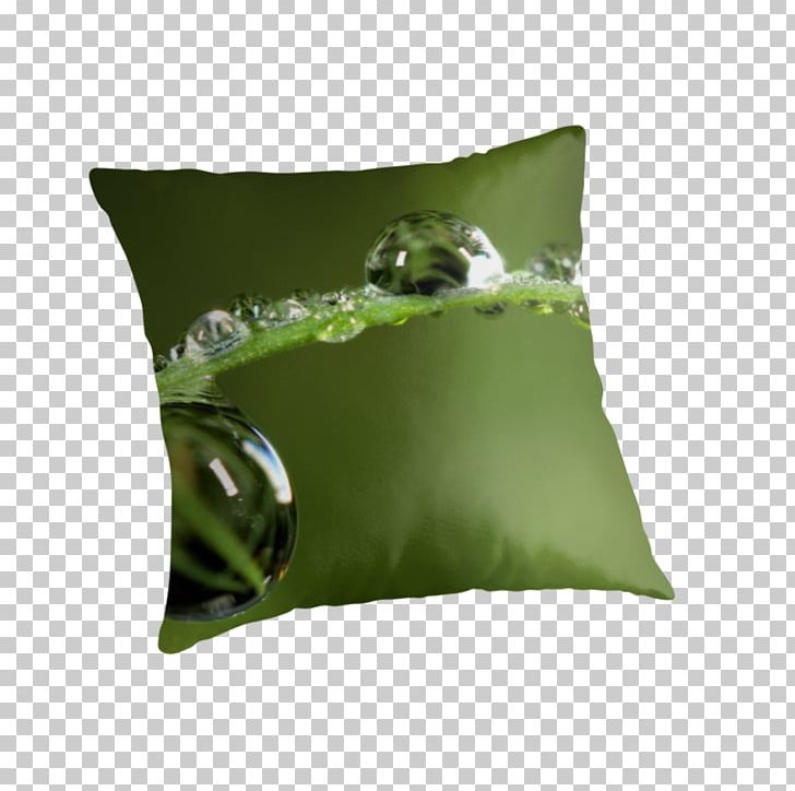 Throw Pillows Cushion Rock FOB PNG, Clipart, Cushion, Dew, Drop, Fob, Furniture Free PNG Download