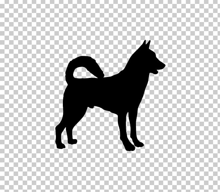 Canaan Dog Working Dog Dog Breed Animal PNG, Clipart, Animal, Animal Rescue Group, Animal Shelter, Black, Black And White Free PNG Download