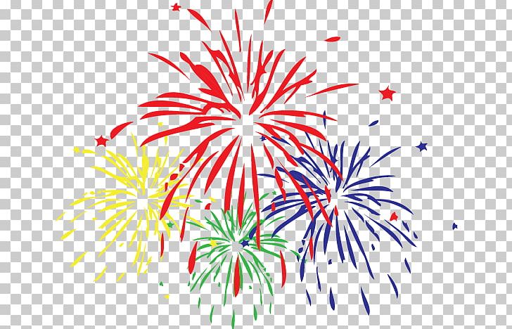 Fireworks Canada Day Festival PNG, Clipart, Animated Film, Area, Bing, Brain, Canada Free PNG Download