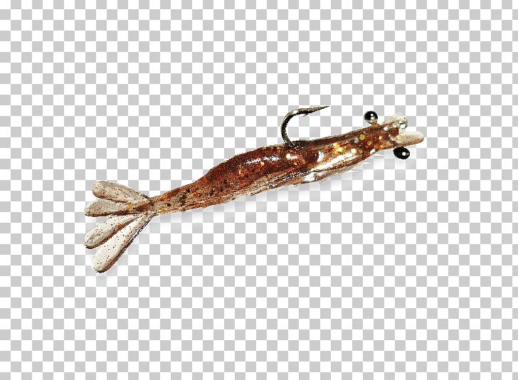 Fishing Baits & Lures Shrimp PNG, Clipart, Animal Source Foods, Bait, Fish, Fishing, Fishing Bait Free PNG Download