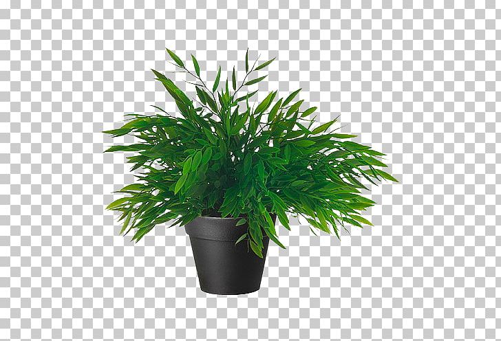 Houseplant Flowerpot Artificial Flower Tropical Woody Bamboos PNG, Clipart, Arecales, Garden, Grass, Ikea, Nature Free PNG Download
