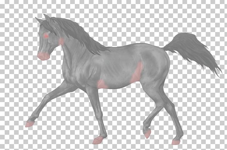 Mustang Stallion Equestrian Dressage Foal PNG, Clipart, Animal Figure, Colt, Computer Icons, Dressage, Equestrian Free PNG Download