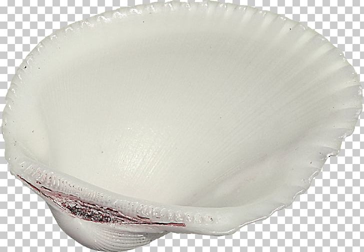 Seashell Clam Scallop PNG, Clipart, Bowl, Christmas Decoration, Decoration, Decorative, Decorative Elements Free PNG Download