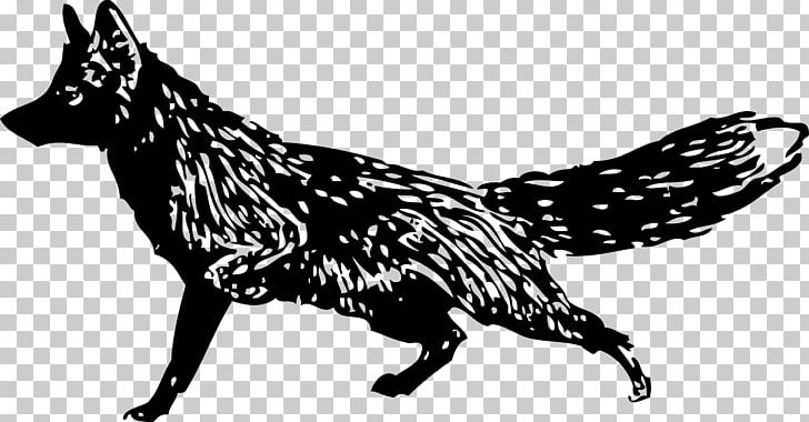 Arctic Fox Red Fox PNG, Clipart, Animals, Arctic Fox, Black, Black And White, Carnivoran Free PNG Download