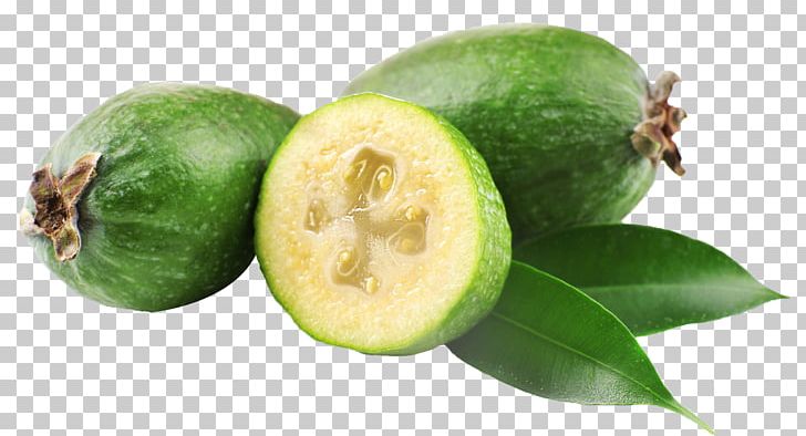 Feijoa Guava Fruit Myrtle Berry PNG, Clipart, Acca, Berry, Blackcurrant, Citrus, Feijoa Free PNG Download