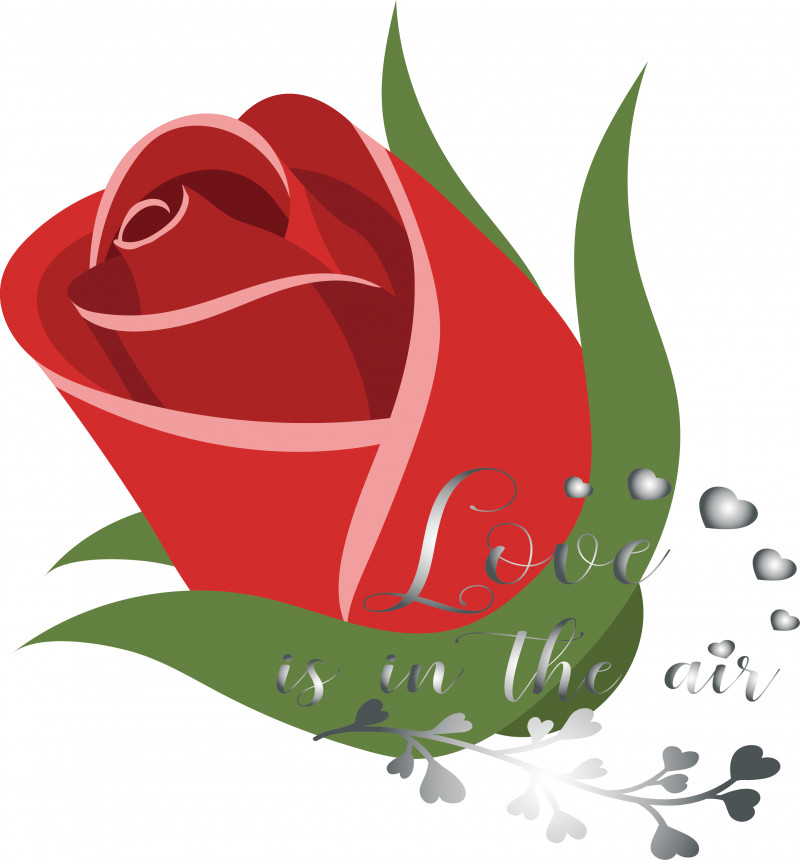 Garden Roses PNG, Clipart, Flower, Frogs, Garden, Garden Roses, Meter Free PNG Download
