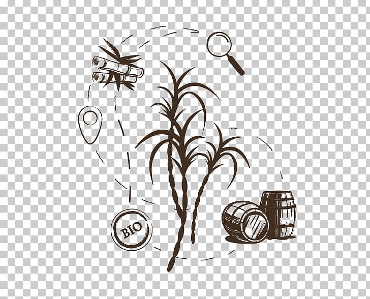 /m/02csf Drawing Insect Tibia PNG, Clipart,  Free PNG Download