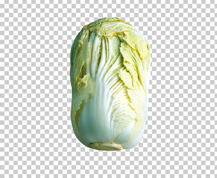 Napa Cabbage Vegetable Chinese Cabbage Food PNG, Clipart, Brassica, Brassica Oleracea, Bud, Cabbage, Chinese Free PNG Download