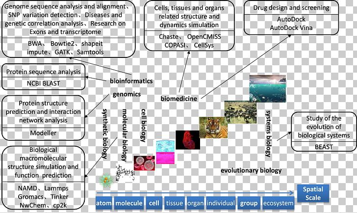 Personalized Medicine Diagram Computational Biology Data Structure PNG, Clipart, Big Data, Biodata, Biological Computing, Biological Medicine Advertisement, Biology Free PNG Download