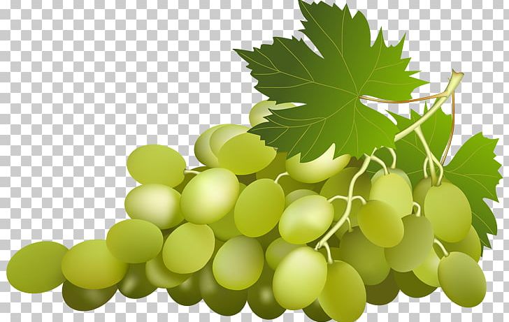 Grape Leaves Wine PNG, Clipart, Clip Art, Download, Food, Fruit, Fruit Nut Free PNG Download