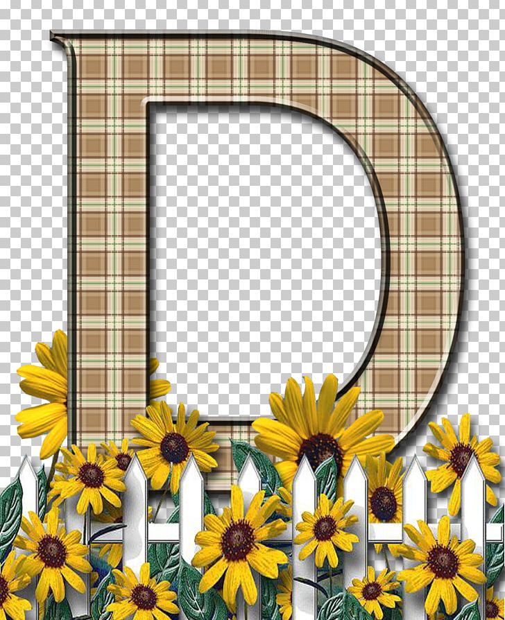 Letter Case Alphabet PNG, Clipart, Alphabet, Clip Art, Common Sunflower, Cut Flowers, Daisy Family Free PNG Download