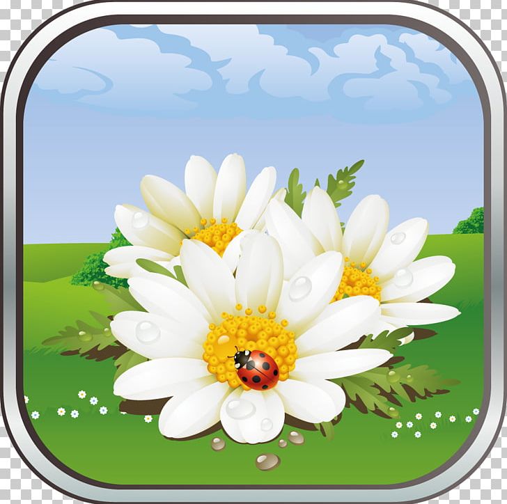 Flower Desktop Chamomile PNG, Clipart, Chamaemelum Nobile, Chamomile, Common Daisy, Daisy, Daisy Family Free PNG Download