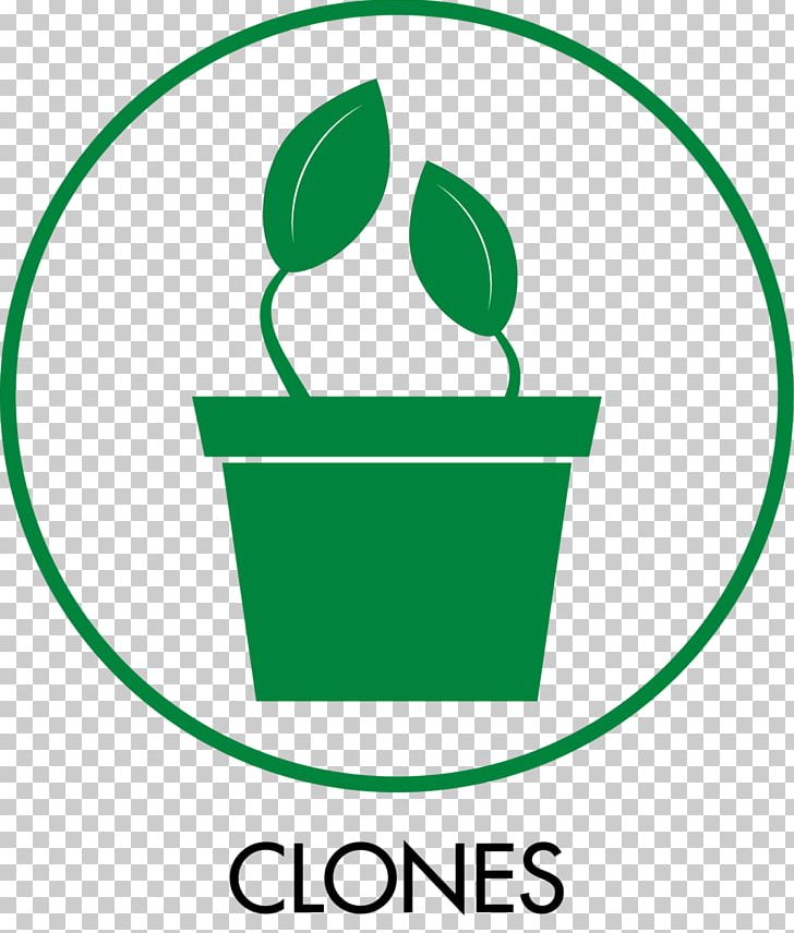 KindPeoples Cloning Hemp Medical Cannabis PNG, Clipart, Area, Artwork, Brand, Cannabis, Cloning Free PNG Download