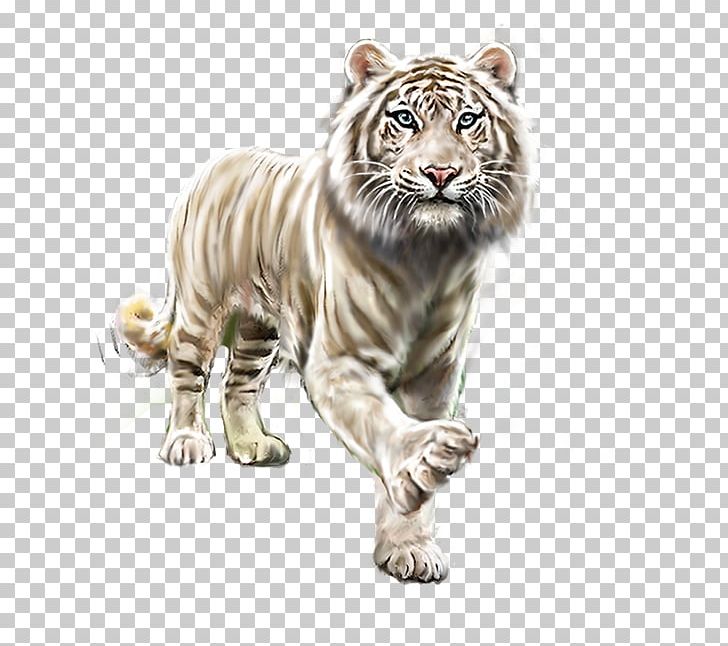 White Tiger PNG, Clipart, Animal, Animals, Big Cats, Black Tiger, Carnivoran Free PNG Download